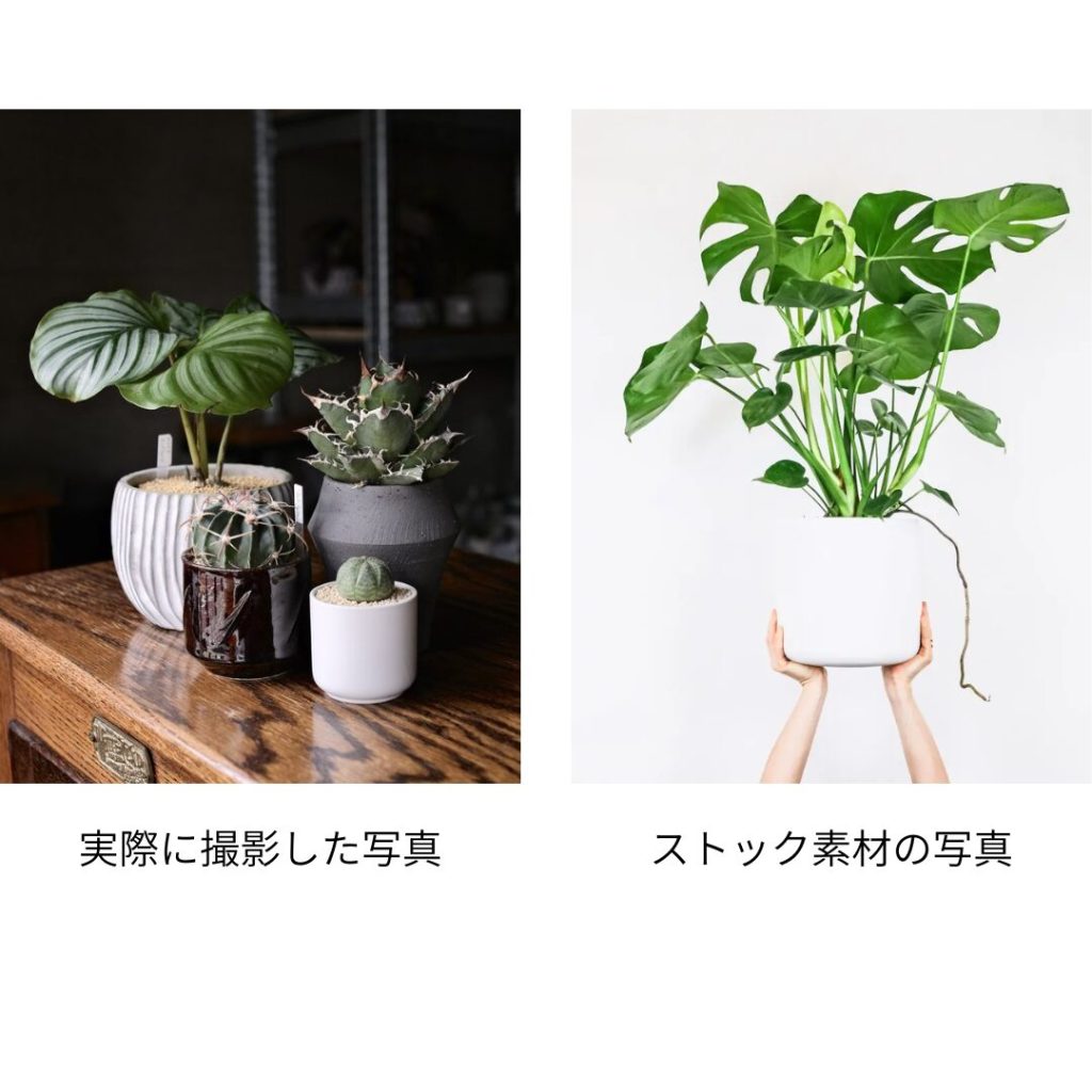 画像:サイトで使われているストック素材の植物写真と、実際にスマホで撮った植物の写真を並べた比較。「プロっぽすぎる写真」と「リアルだけど本物感のある写真」の違いがわかる構成